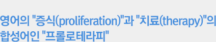 영어의 '증식(proliferation)'과 '치료(therapy)'의 합성어인 '프롤로테라피'